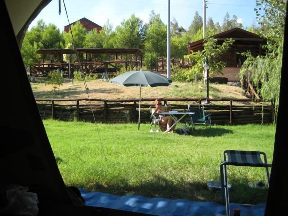 Photo 47