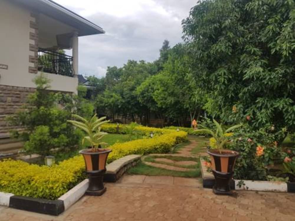 Desert Rose Resort view 2