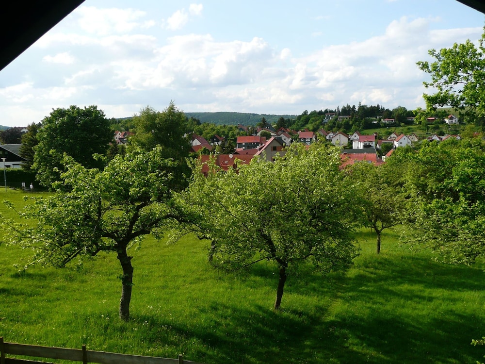 Photo 22