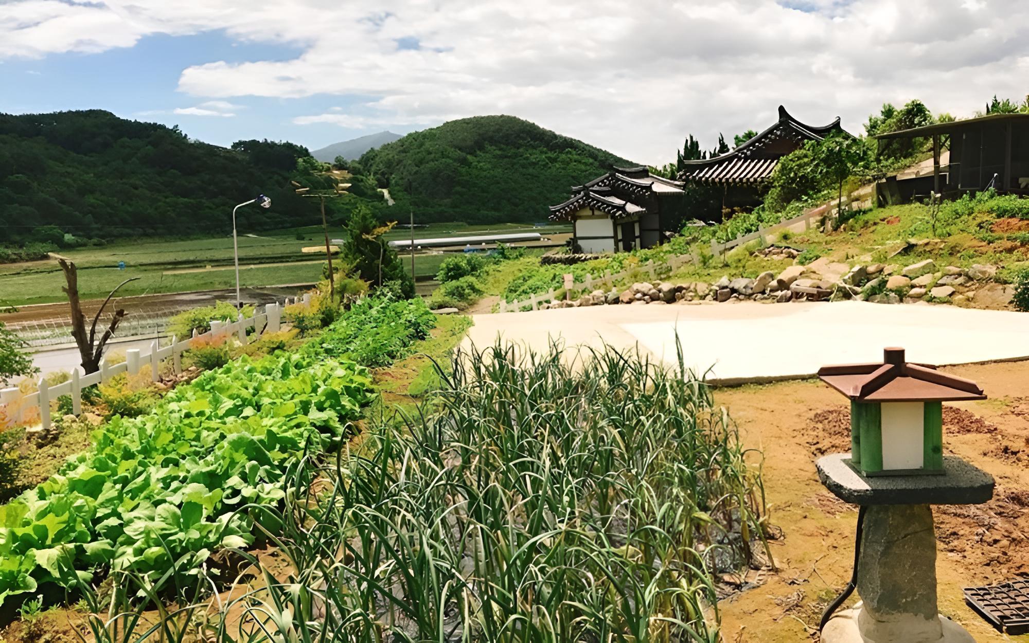 Hadong Goni House Pension view 4