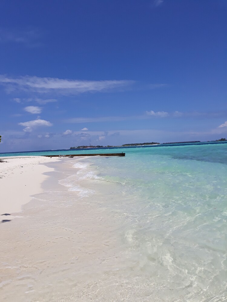 Hibiscus Holidays