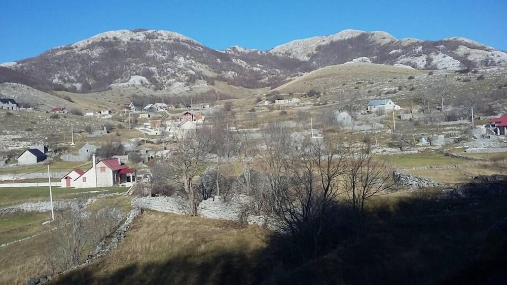 Photo 42