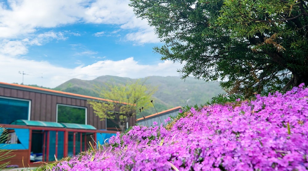 Kkoristar Pool and Spa Pension