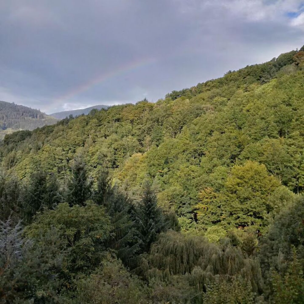 La Pierre d'Eau