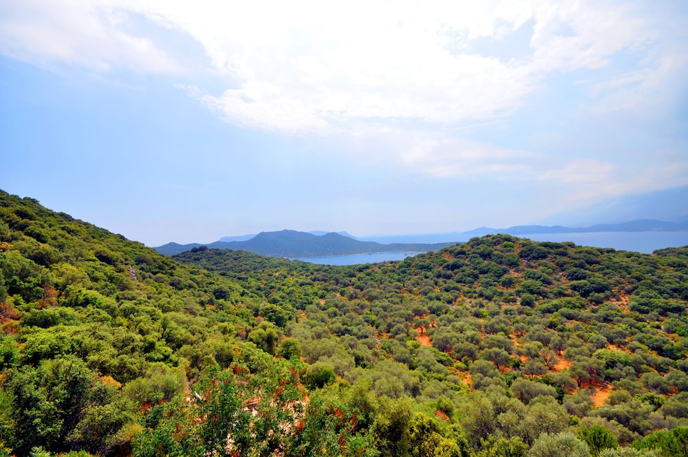 Kaktus Villa 2