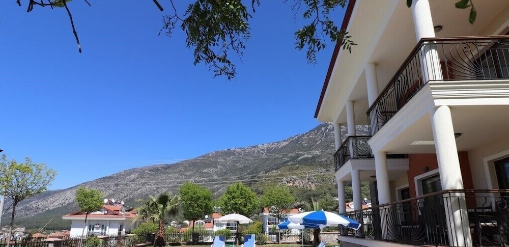 Photo 20
