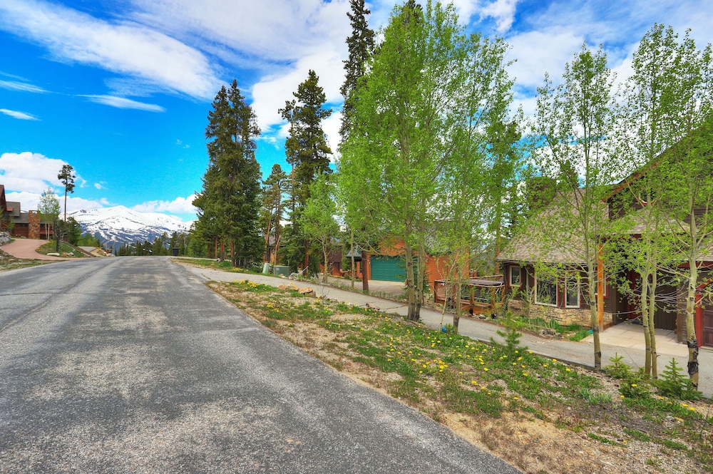 Photo 41