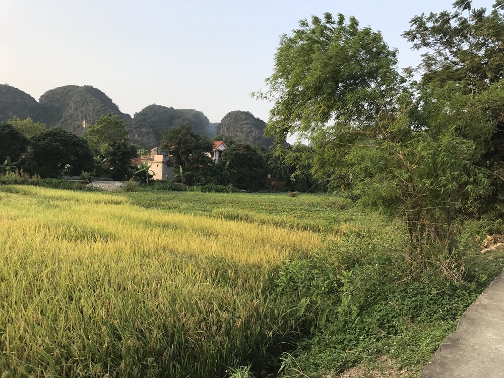 Tam Coc Garden Homestay
