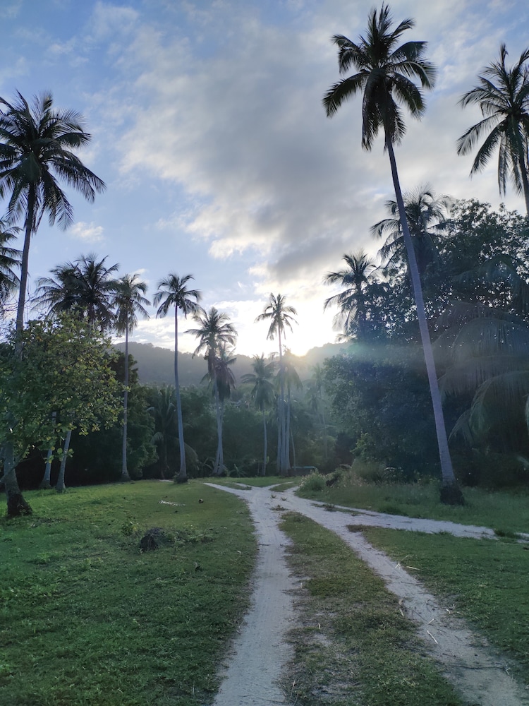 Whynam Beach view 3