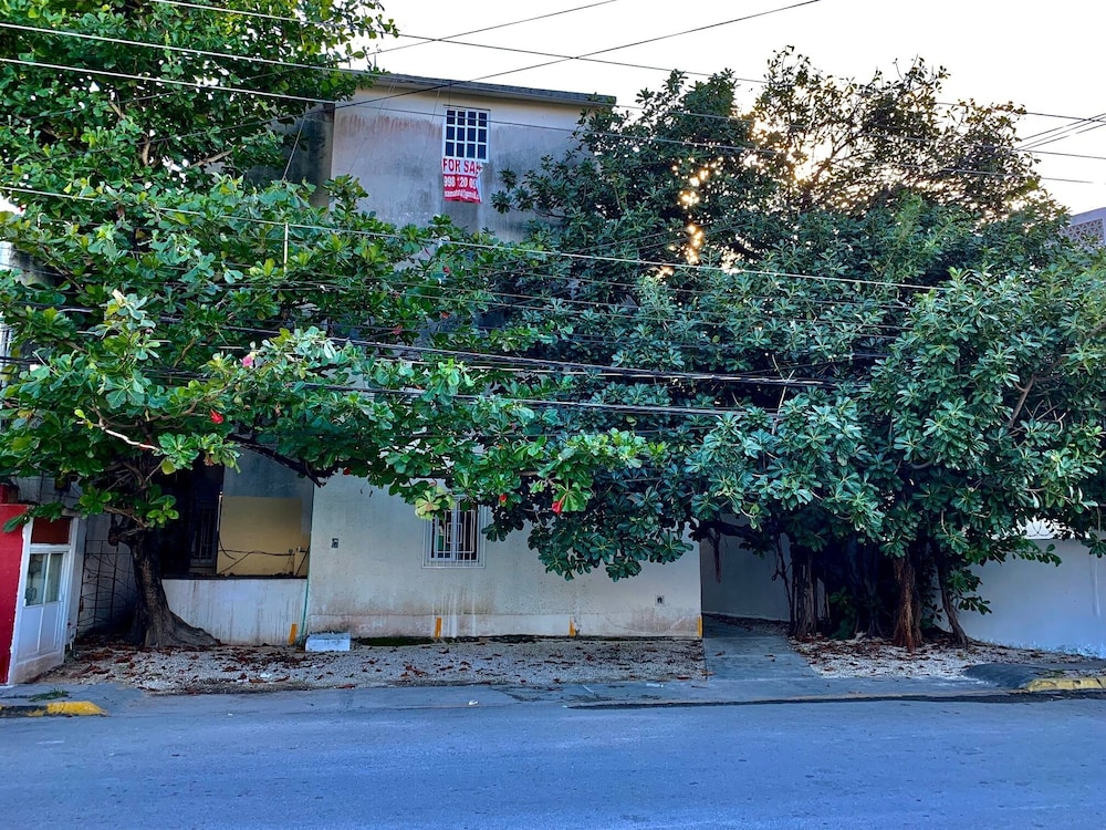 2BR Apartment near Mamitas Beach