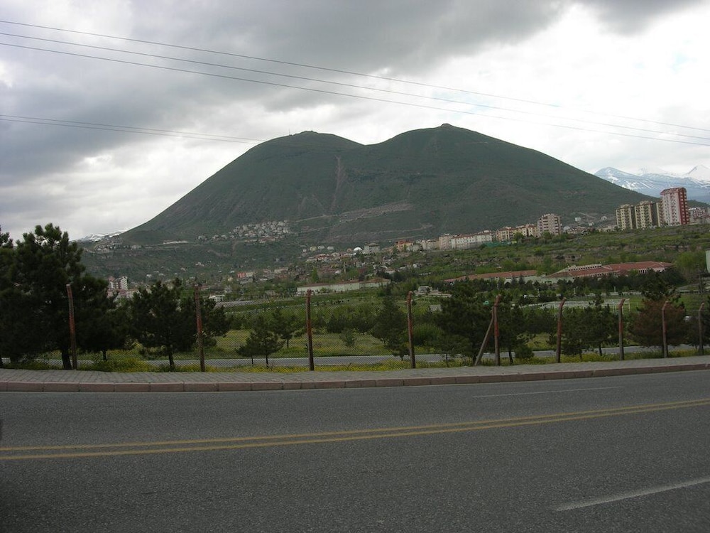 Photo 42