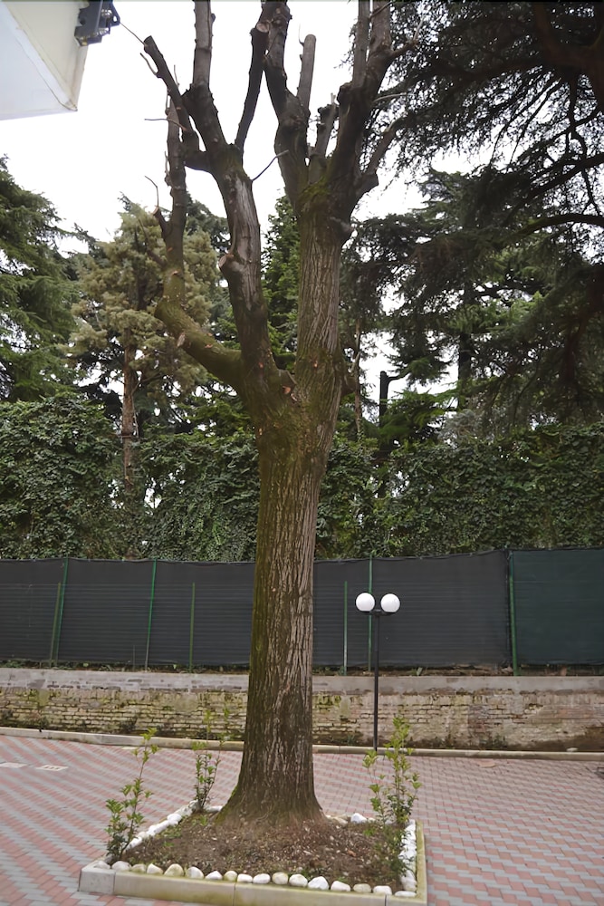 B&B Porte di Bologna