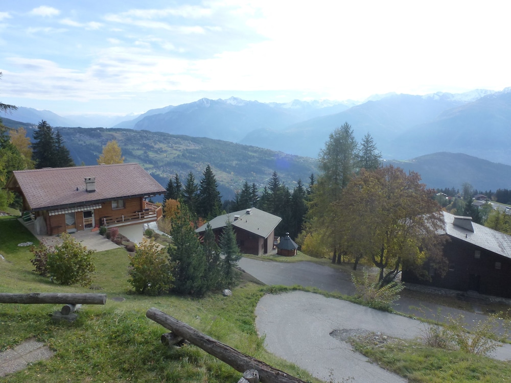 Photo 8