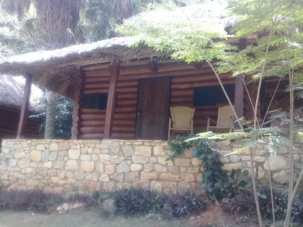 Photo 12