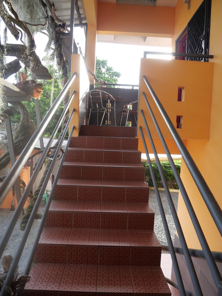Photo 31