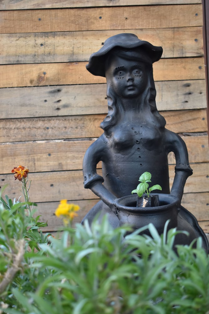 Photo 48