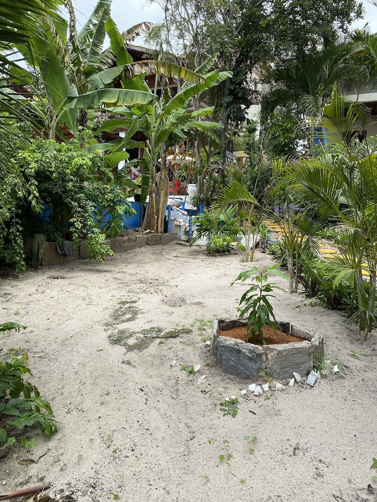 Macaco Surf House - Hostel