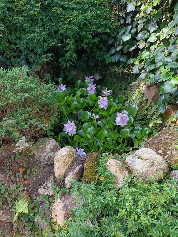Recanto das Araucarias