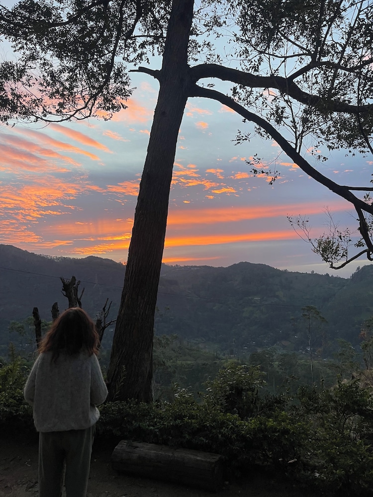 Mountain vibe ella