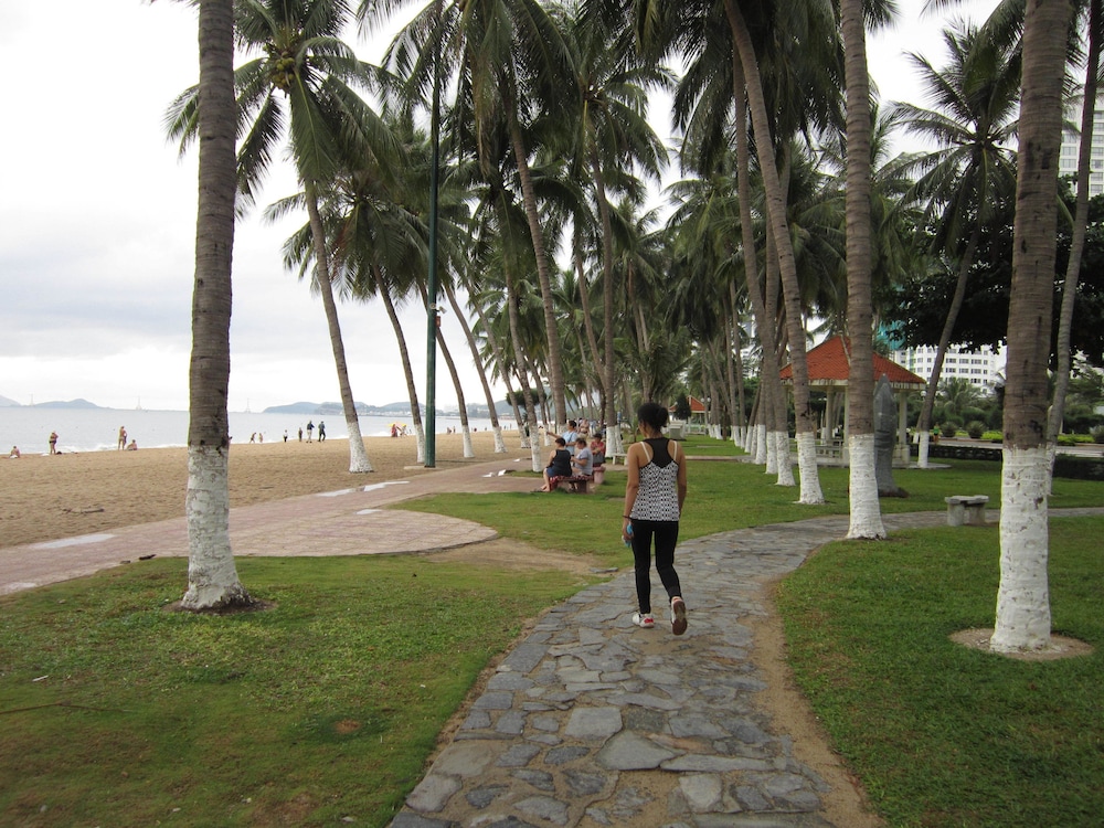 Photo 41