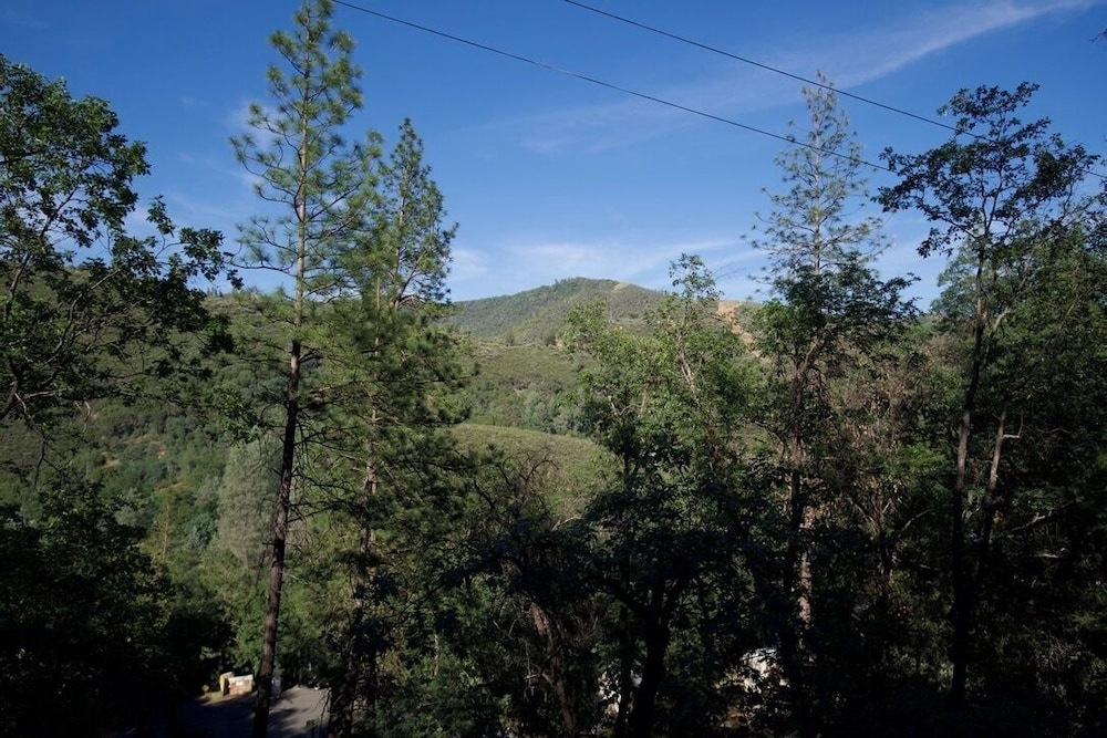 Yosemite Bug Rustic Mountain Resort