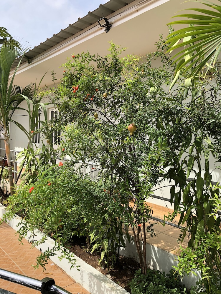 Guest House Terezinha