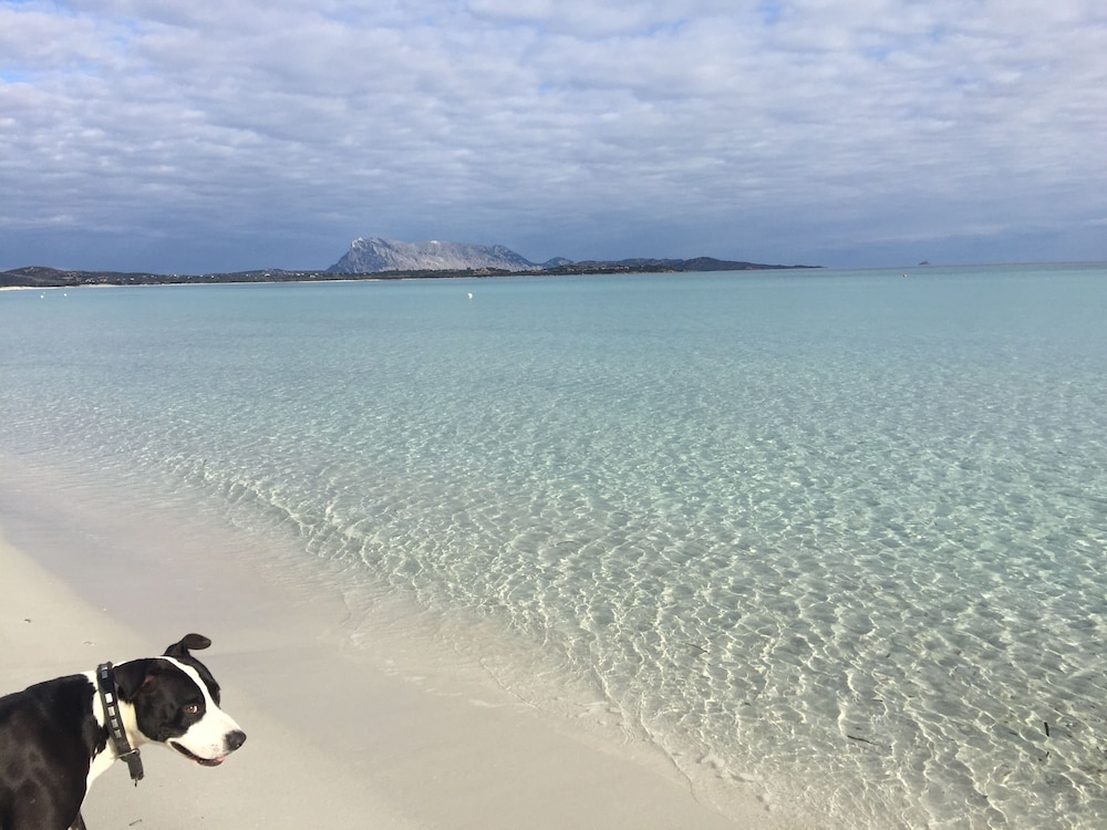 AL FARO VINTAGE HOTEL -SPIAGGIA LA CINTA-SAN TEODORO