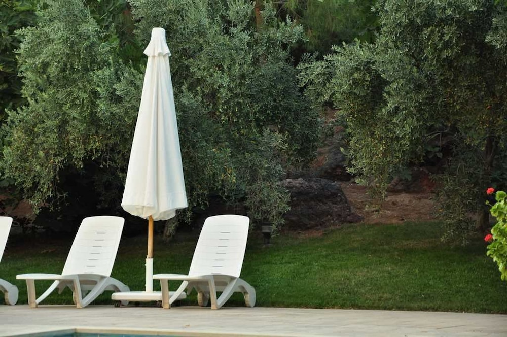 Palm Court Suites - Image 42