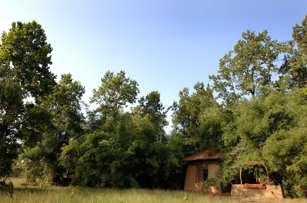 Mahua Kothi, Bandhavgarh National Park