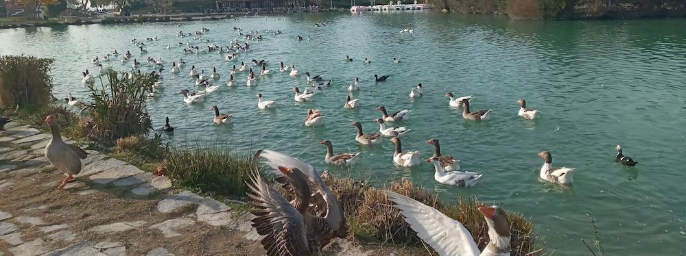 Sun Pansiyon view 5