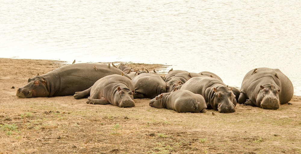 Elandela Private Game Reserve & Luxury Lodge