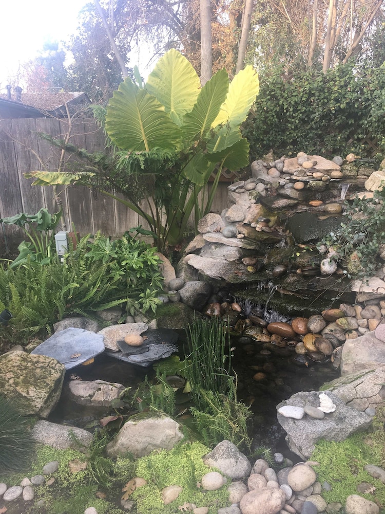 Seq Parks-hot Tub Fire Pit Koi Pond Outdoor Kitch