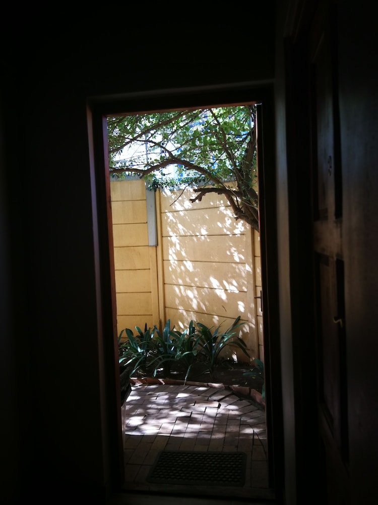 Photo 51