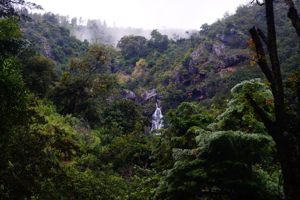Secret Valley Jungle Resort