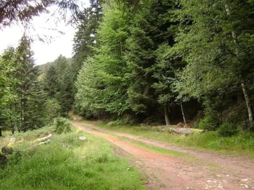 Gite Hansel, set in Greenery Beside a Stream view 5