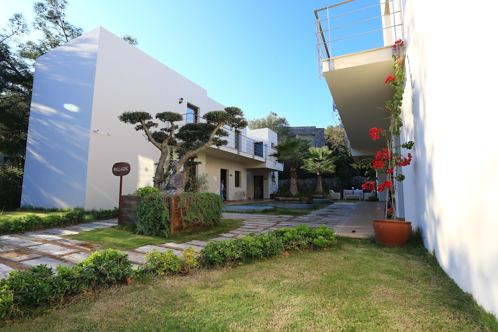 The LifeCo Bodrum İyi Yaşam Merkezi - Sadece Yetişkinler - Image 67