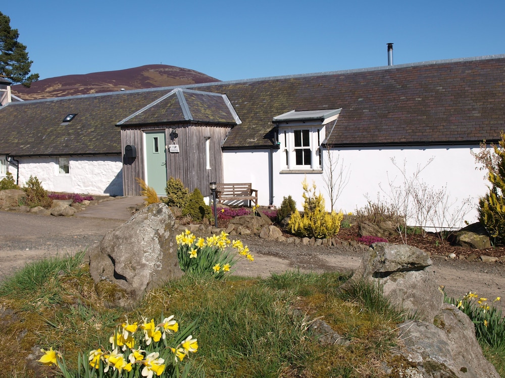 Dalnoid Cottages & Treehouses