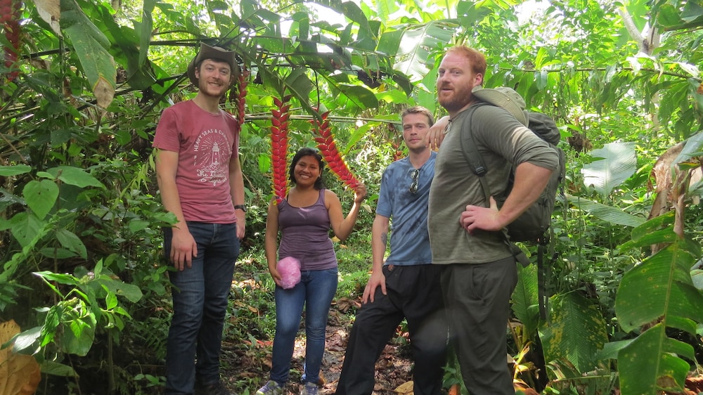 Amazonian Oropendola & tambopata