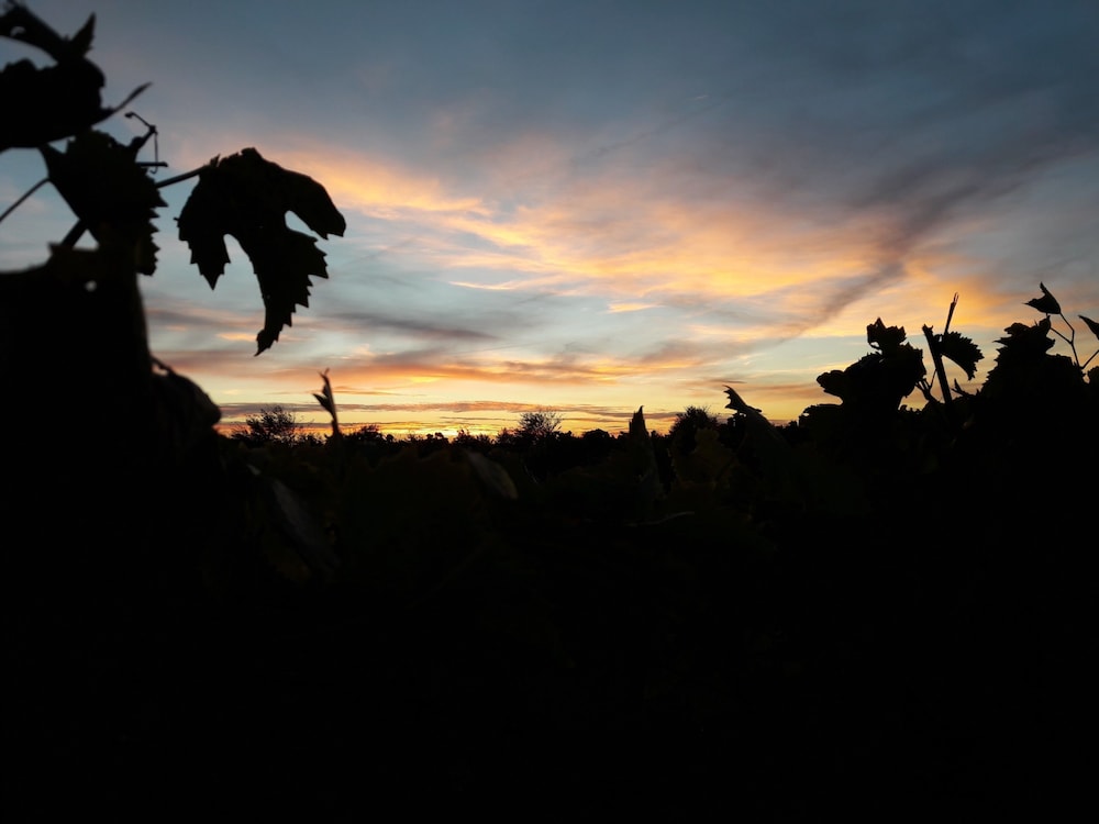 Gîte Guy, fotografía 3