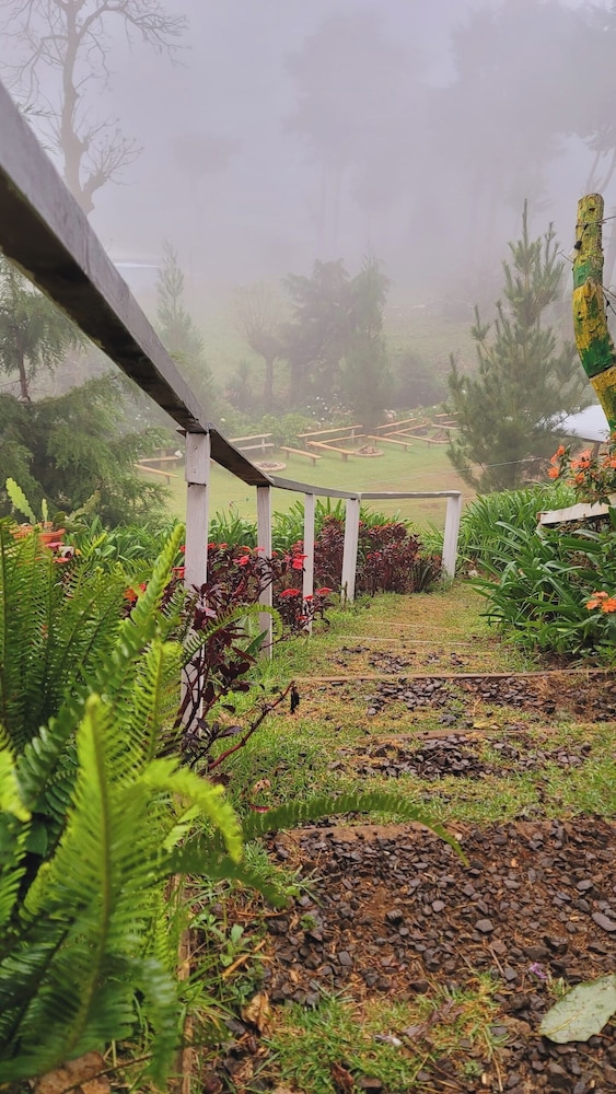 Hostal El Pital Lecho de Flores