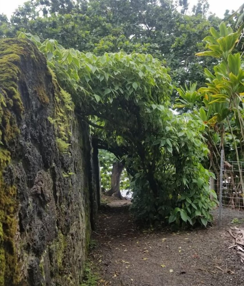 Plumeria Hilo Hotel