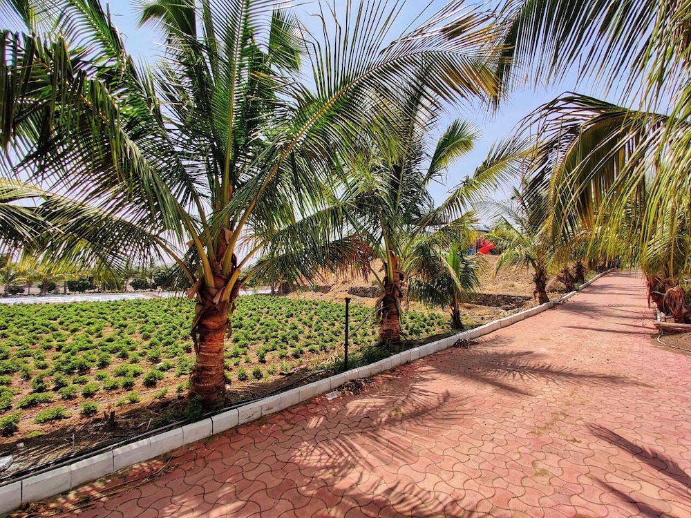 Malshej Agro Tourism & Farm
