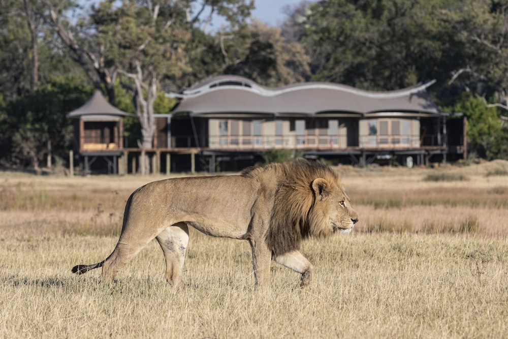 Xigera Safari Lodge view 5