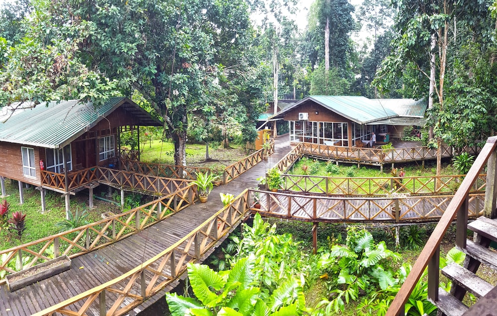Borneo Nature Lodge photo 1