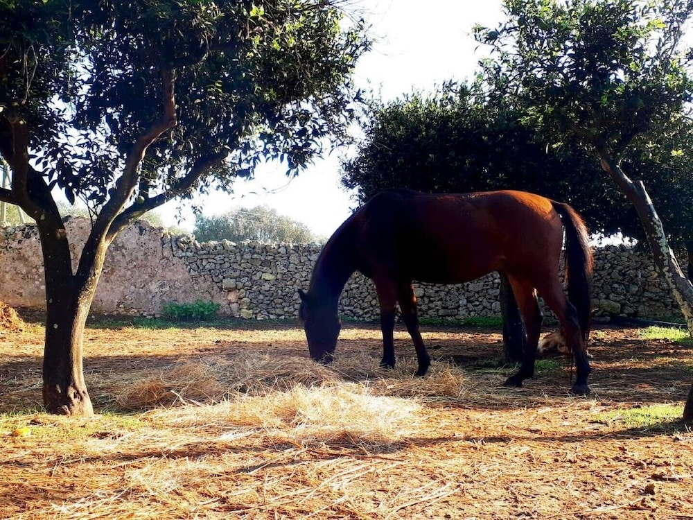Masseria Costarella