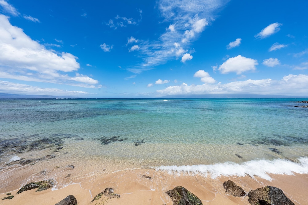 Hoyochi Nikko 208 in Lahaina