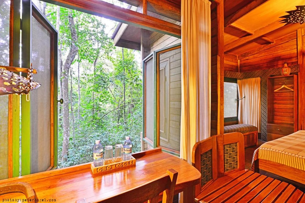 The Rainforest Geo Lodge view 3