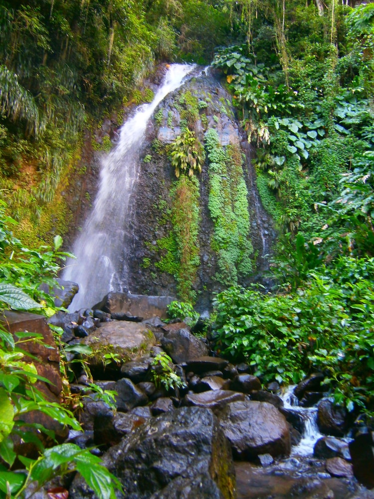 Richmond Vale Diving and Hiking Center - Hostel - Photo 41