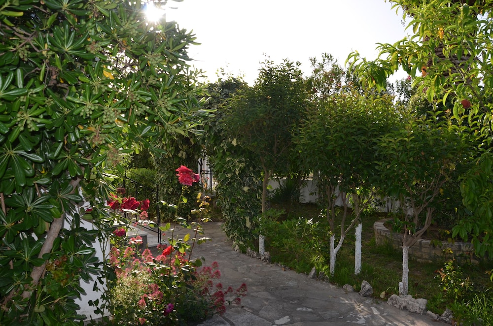 Photo 20
