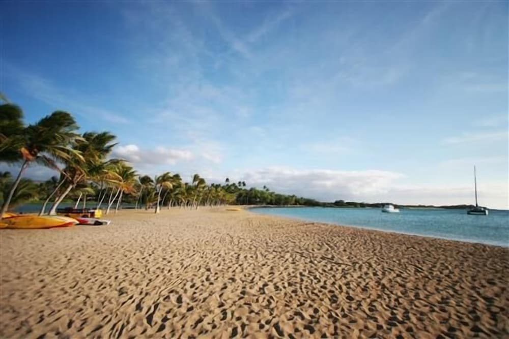 Vista Waikoloa G204